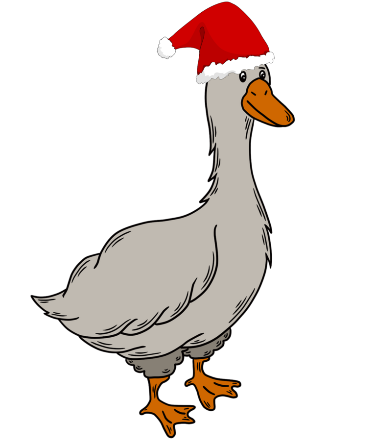 Bild zu Gans abtanzen